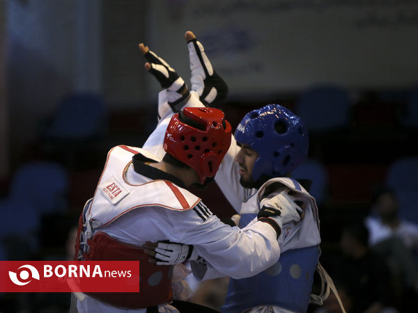 لیگ برتر تکواندو