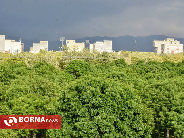 باران  بهاری اراک