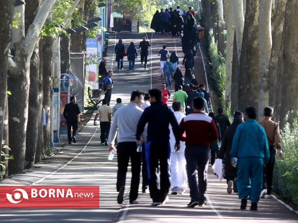 ورزش همگانی کارکنان و مدیران وزارت ورزش و جوانان