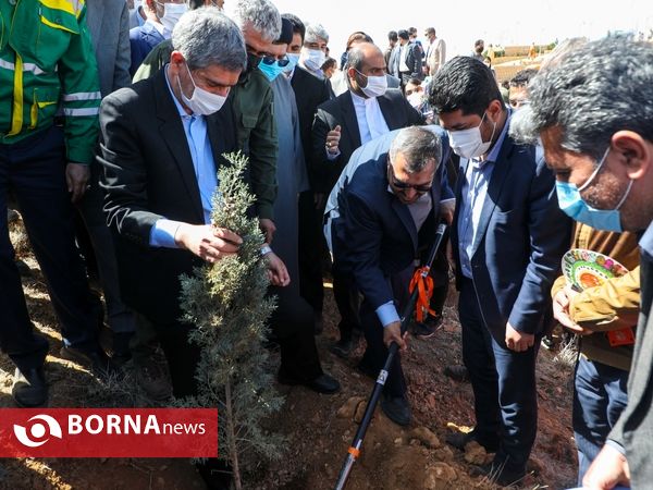 آیین روز درختکاری در شیراز