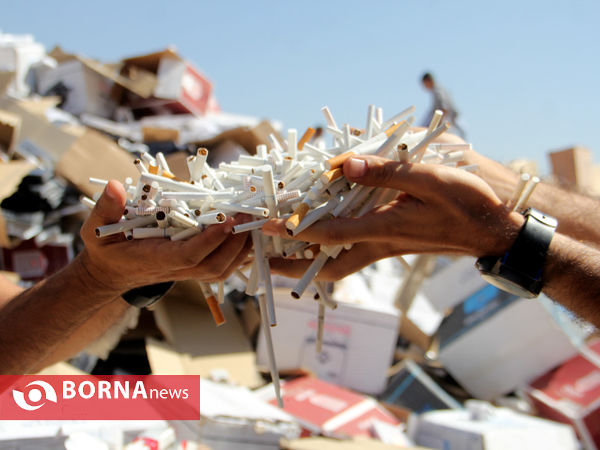 امحای 33 میلیون نخ سیگار قاچاق در شیراز