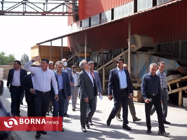 بازدید مدیرعامل بانک صنعت و معدن از طرح های تولیدی فارس