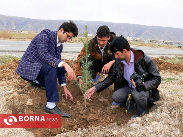 آغازفعالیتهای درختکاری در رومشکان درآستانه هفته منابع طبیعی