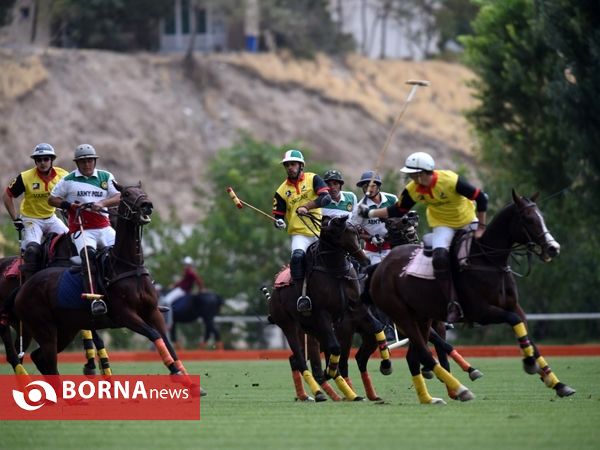 ،مسابقات چوگان جام هفته دفاع