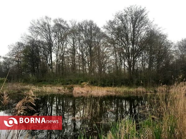 تالاب حاجی آباد لاهیجان