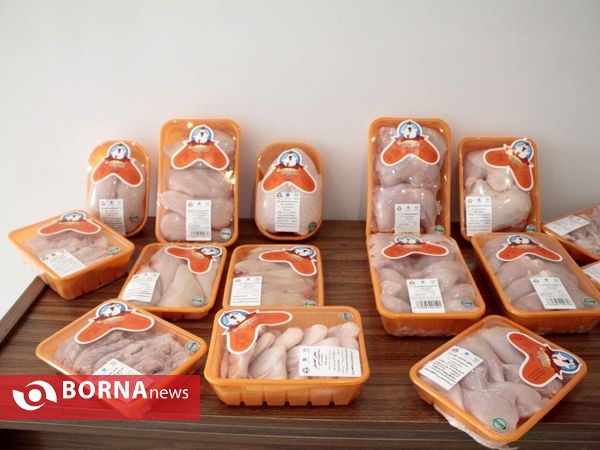 آغاز افتتاح پروژه های صنعتی، سرمایه گذاری و گردشگری منطقه آزاد انزلی