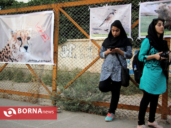 گرامیداشت روز ملی یوزپلنگ ایرانی در شیراز