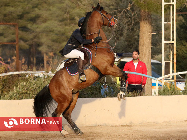 مسابقات پرش با اسب قهرمانی استان فارس