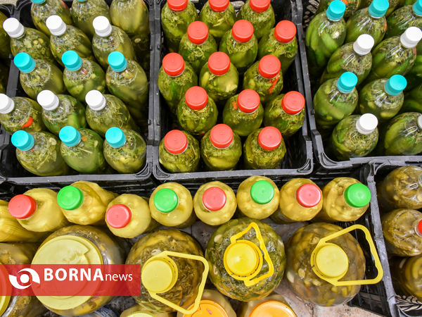 ماه منیر بانوی موفق کارآفرین