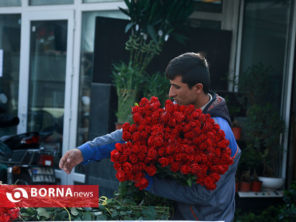 یلدا در بازار گل تهران