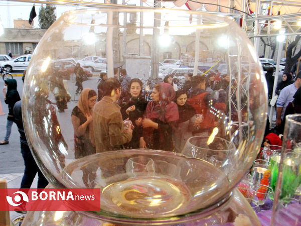استقبال از عید  نوروز با ماهی گلی-شیراز