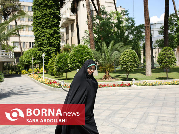 در حاشیه جلسه هیات دولت