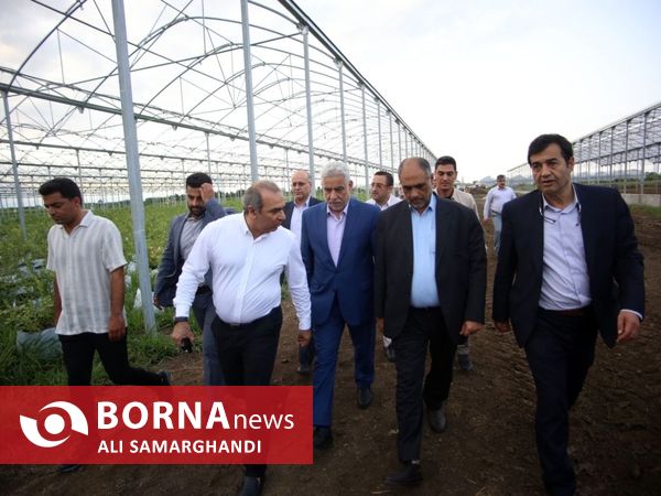 بازدید وزیر جهاد کشاورزی از ظرفیت های کشاورزی و شیلاتی بندرانزلی