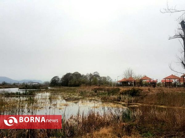 تالاب حاجی آباد لاهیجان