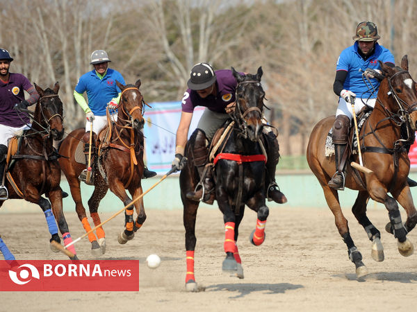 نهمین دوره رقابتهای چوگان جام فجر