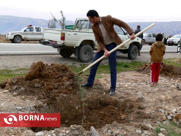 آغازفعالیتهای درختکاری در رومشکان درآستانه هفته منابع طبیعی
