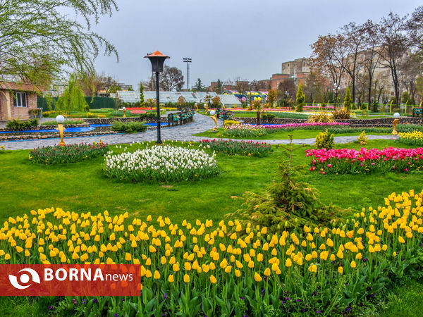 جشنواره گل‌های لاله