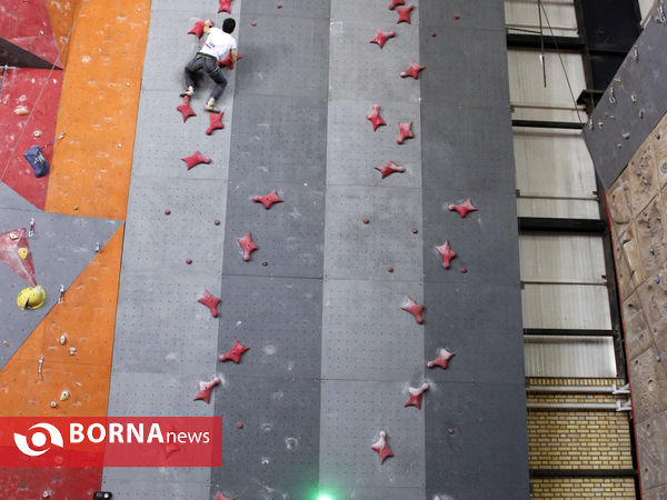 هفدمین دوره مسابقات سنگنوردی جام فجر در ماده سرعت به میزبانی همدان