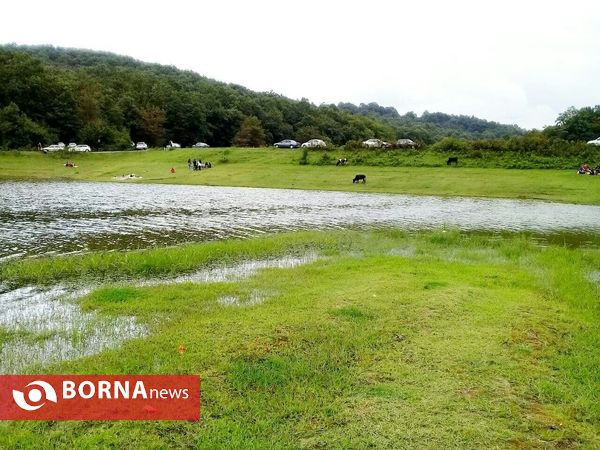 چشم اندازی از طبیعت گیلان _ شهریور 1400