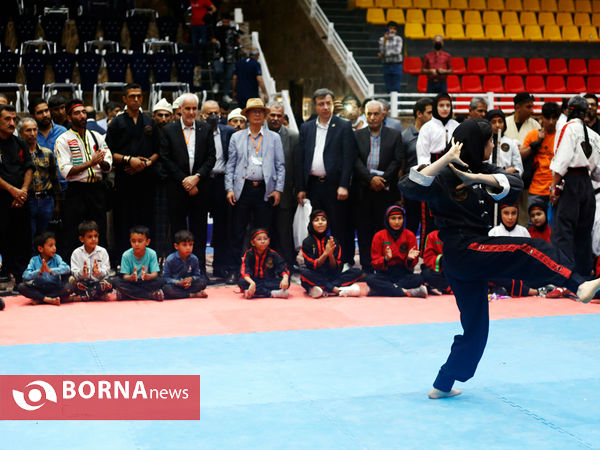 اختتامیه چهارمین نشست سالانه هیات رئیسه کمیته هنرهای رزمی یونسکو در شیراز