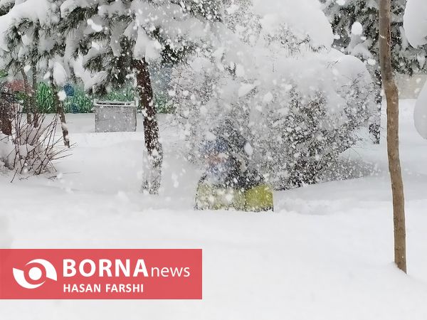 همدان به تنظیمات کارخانه برگشت