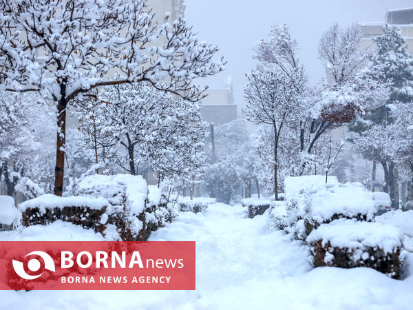 بارش شدید برف در اراک