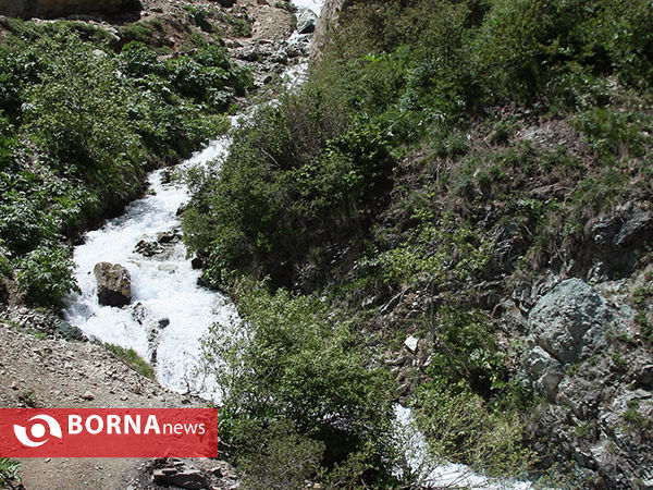 گردشگری در هفته جوان