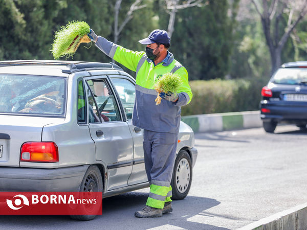 مشارکت در نظافت شهر
