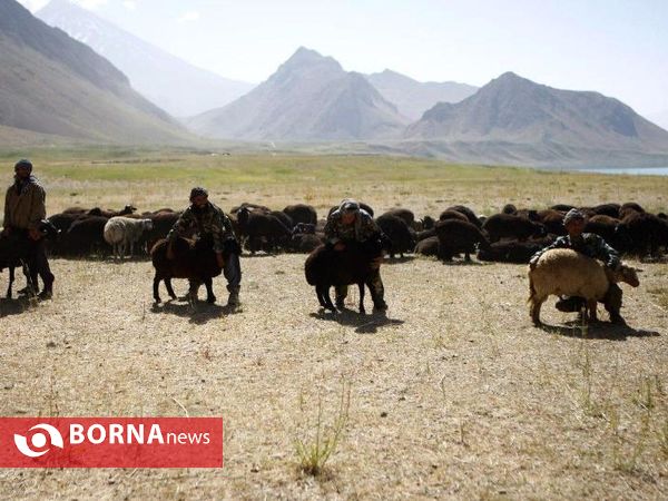 بازدید استاندار تهران از مناطق عشایری دشت لار