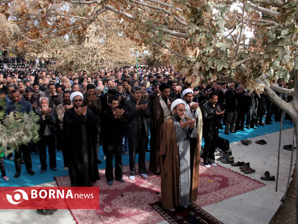 بزرگترین گردهمایی عزاداران رضوی فارس در شهرستان بوانات