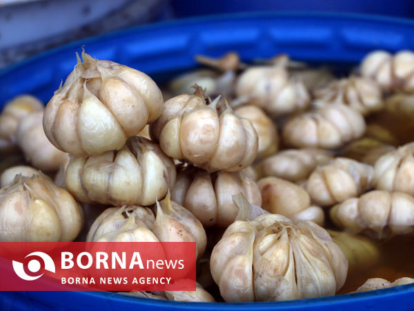 تیمورلو، پایتخت سیر ایران