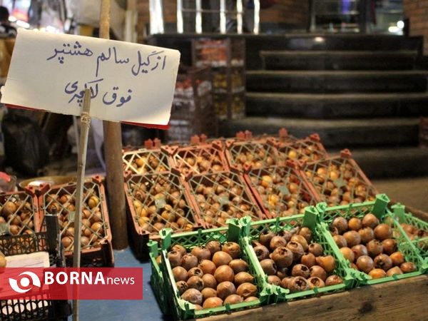 گیلان در آستانه یلدا ۱۴۰۰