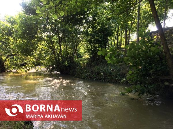 پسیخان رشت جاذبه طبیعی و گردشگری استان گیلان