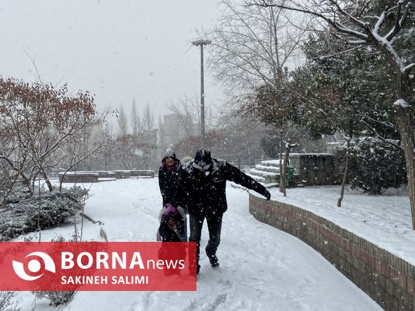 برف زمستاني تهران