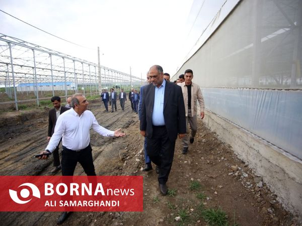 بازدید وزیر جهاد کشاورزی از ظرفیت های کشاورزی و شیلاتی بندرانزلی