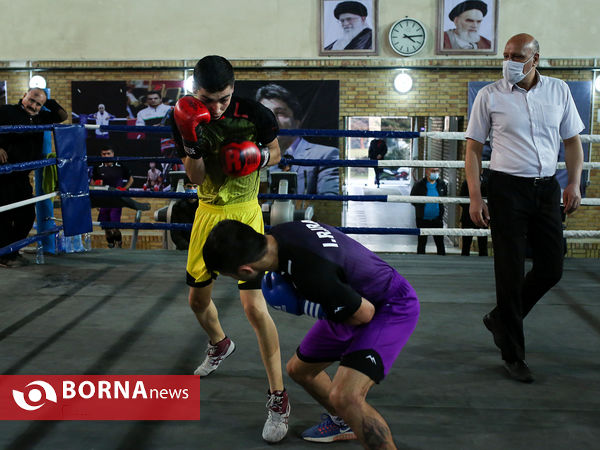 تمرین تیم ملی بوکس