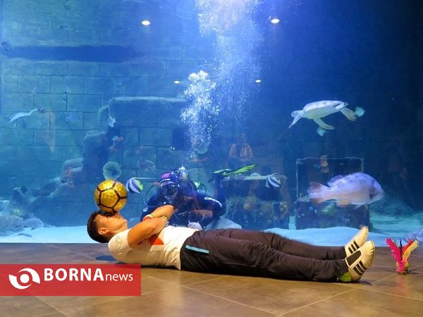 حرکت نمایشی رکوردار روپایی در حمایت از تیم ملی