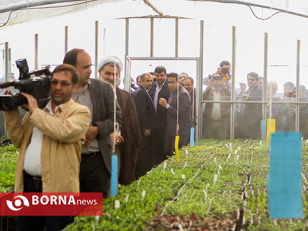 بازدید معاون اول رئیس جمهوری از چند پروژه کشاورزی و صنعتی در شهرستان رباط کریم