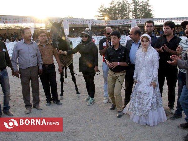 جشنواره بین المللی زیبایی اسب اصیل ایرانی در شیراز