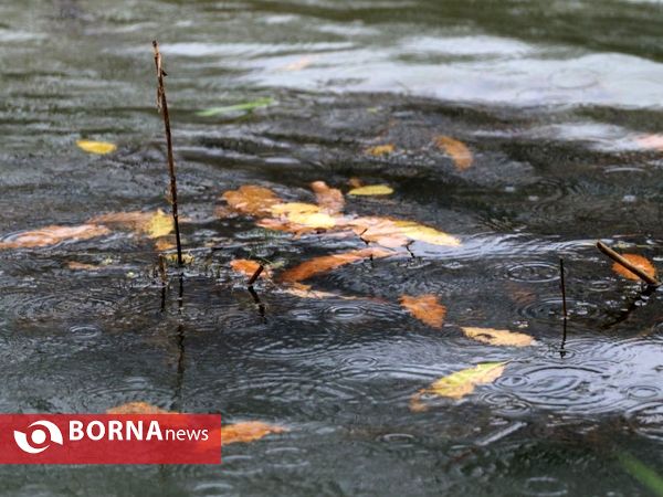 آخرین روز پاییز ۹۷ در استان گیلان