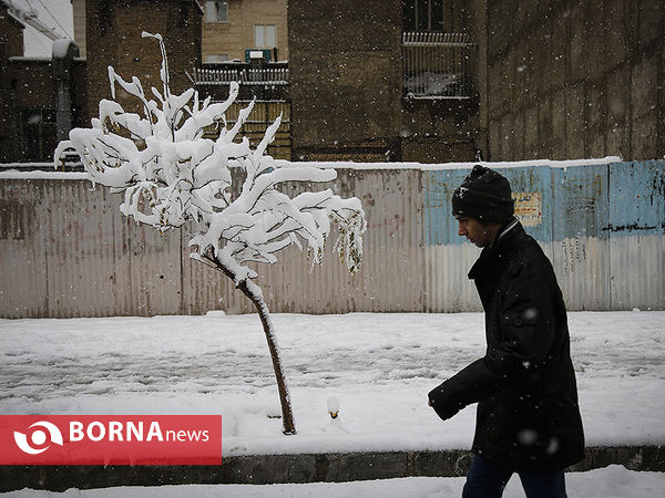 بارش برف در تهران-۲