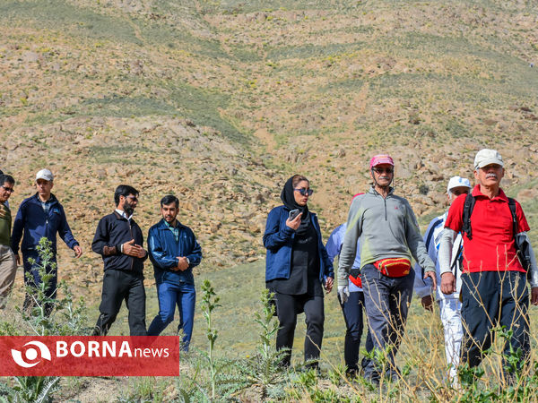 همایش پیاده روی سراسری کارگران