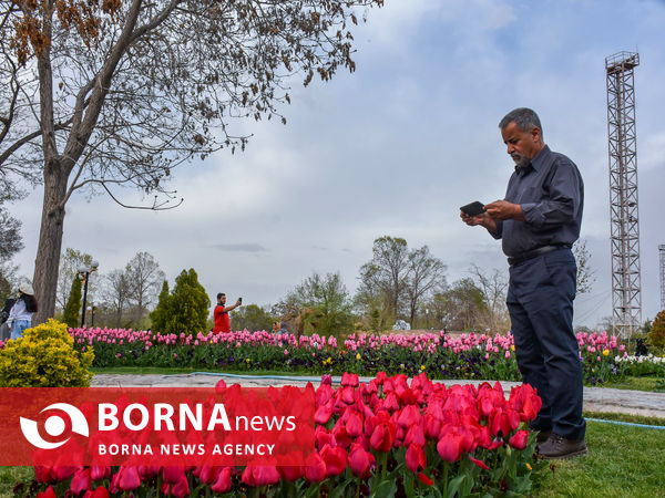 جشنواره گل‌های لاله در اراک