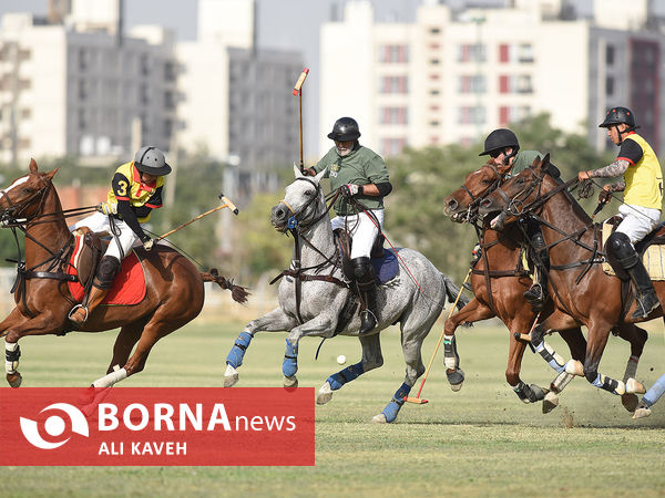 لیگ  ملی چوگان