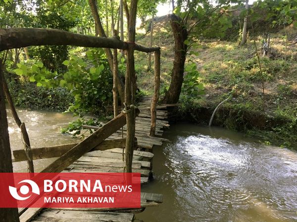 پسیخان رشت جاذبه طبیعی و گردشگری استان گیلان