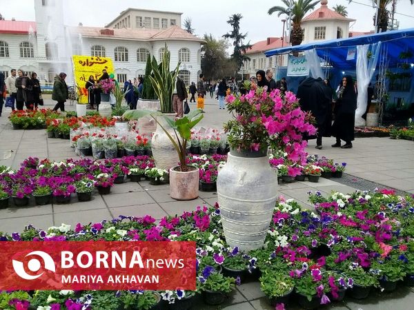 جشنواره گل و گیاه رشت 
