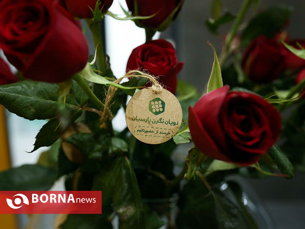 اولین دوره کارورزی شرکت نویان نگین پارسیان