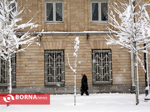 بارش برف در تهران -2