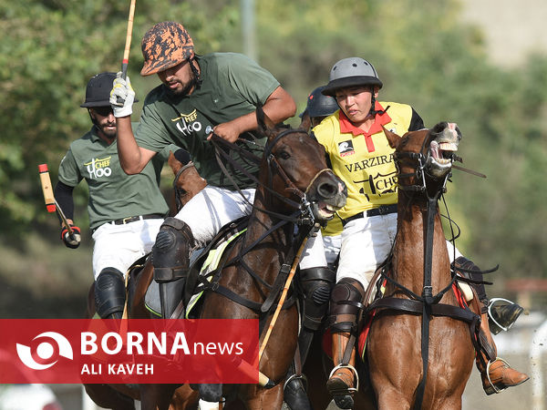 لیگ  ملی چوگان