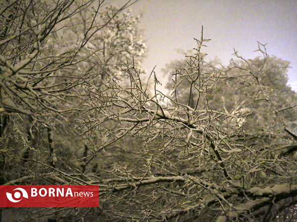 اولین برف زمستانی تهران